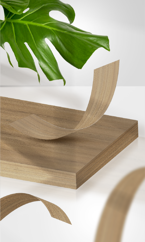 CHỈ CẠNH PVC/ABS